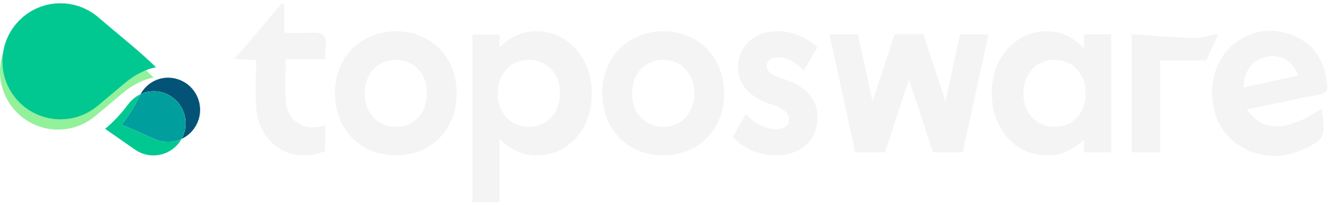 Toposware Logo Horizontal